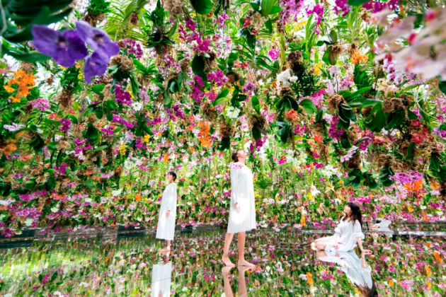 CTA Get tickets to teamLab Planets