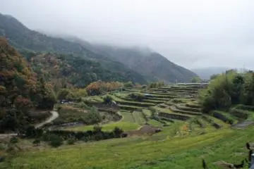 The Terraced Rice Fields