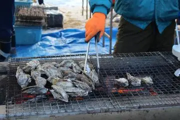 Matsushima Oyster Festival 2027