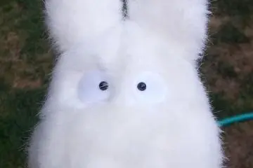 This little creature might be waiting for you at the Totoro house. (Photo: KWHedlund / JT)