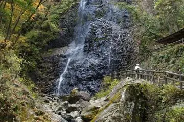 Shirai Falls in autumn (Photo: Ehime Prefecture)