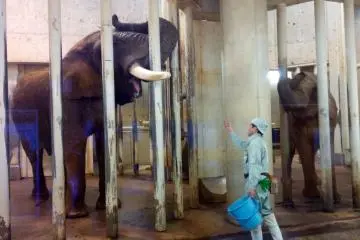 Sendai Yagiyama Zoological Park