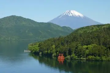 Photo: <a href="https://ja.wikipedia.org/wiki/%E3%83%95%E3%82%A1%E3%82%A4%E3%83%AB:Mt._Fuji_from_Hakone.jpg" target="_blank" rel="noreferrer noopener nofollow">Quercus acuta (CC4.0)</a>