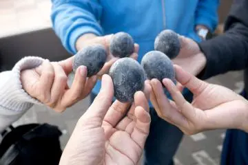 Black eggs of Owakudani (Photo: <a href="https://www.shutterstock.com/image-photo/tourists-showing-boiled-black-eggs-kurotamago-677281567" target="_blank" rel="noreferrer noopener nofollow">favorstyle</a> / Shutterstock.com)