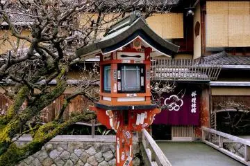 Searching for Plum Blossom in Gion