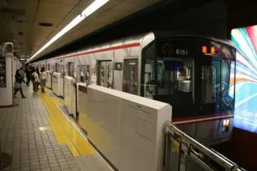 Enjoying the Sakura, underground!