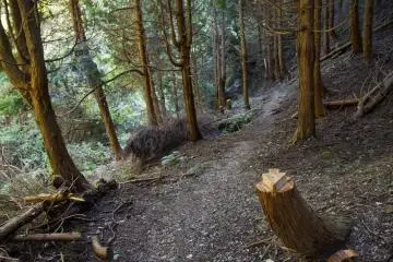 Hiking Mt. Kana