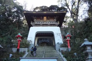 Gallery image