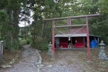 Gallery image