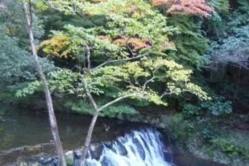 Minoh Park