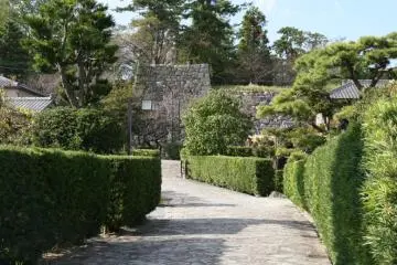 Looking towards the castle ruins, between the tenements (Photo: PPF)