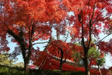 Mitaki Temple (Photo: <a href="https://commons.wikimedia.org/wiki/File:Mitaki-dera_Taho-to.jpg" target="_blank" rel="noreferrer noopener nofollow">大江万里</a>)