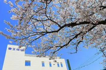 This cherry blossom tree adds drama to the entrance of this building's compound. &nbsp; (Photo: Tyra 'nell Pille)