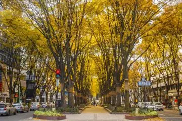 Photo: <a href="https://www.shutterstock.com/image-photo/sendai-miyagi-japan-nov-17-2010-510813598" target="_blank" rel="noreferrer noopener nofollow">Kapi Ng</a> / Shutterstock.com