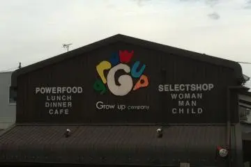 Grow Up Company