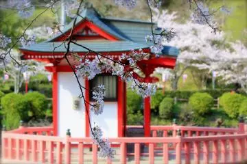 Mobara Cherry Blossom Festival 2026