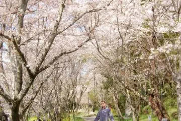The Chisei Area of Uchiko