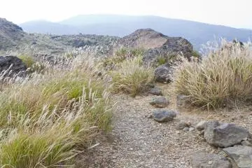 The Susuki Plain of Kirishima