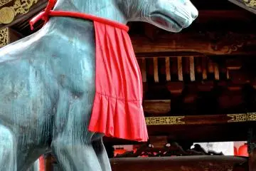 Spotting Foxes at Toyokawa Inari Temple