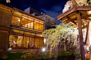Sakura Light-up, Gion Shirakawa