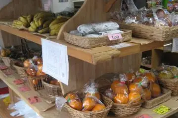 Organic abundance.