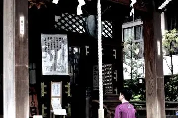 Gallery image