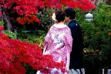 Kyoto Maruyama Park