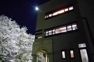 Ohanami Party on Asuwa Riverbank