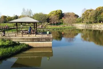 Shinrin Park