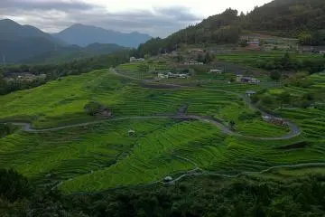 Maruyama Senmaida
