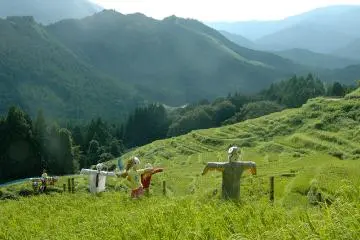 Scarecrows stand guard over the terraced rice paddies (Photo: cotaro70s)