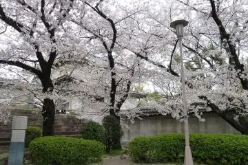 Photo:  Osaka Castle – <a href="https://www.flickr.com/photos/sofimi/16624199750/in/photolist-rk2npC-rig1Bg-dwmrQb-68dh94-Fi1XK-bJYeDr-dwmsZG-4CCdfY-6ebNFV-qEMKfR-e236o7-9cVX8Q-a16dWp-bEh22T-4CBYff-s288Uk-bqZE9o-4CBXx7-rk1nvw-bqZFXW-kE6Eq2-rk6Aba-brBiVS-moA6Gp-9qRCUj-bqZDDy-9xnywj-mozkQ8-Fi22i-6sWHmf-bqZZfs-9PfNbw-kPA9RF-DvjHFj-dZUEVE-7T8KQk-kq2aki-9qRCUb-rBsX3q-dZNV4p-9cVXhm-6sWHMW-6ooqRh-7T8CLz-7T82FZ-dZUEDq-6zn4iF-dZUCbh-r7Ebzj-6zn6LP" target="_blank" rel="noreferrer noopener nofollow">Sophia Lucero</a> / <a href="https://creativecommons.org/licenses/by-nc-nd/2.0/" target="_blank" rel="noreferrer noopener nofollow">CC BY-NC-ND 2.0</a>