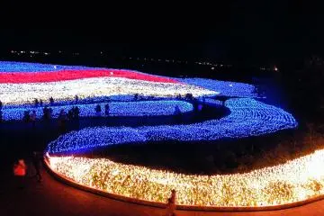 Beautiful blossoms by day, dazzling flower beds by night  (Photo:  Light flower farm – <a href="https://www.flickr.com/photos/emrank/3059663911/in/photostream/" target="_blank" rel="noreferrer noopener nofollow">Emran Kassim</a> / <a href="https://creativecommons.org/licenses/by/2.0/" target="_blank" rel="noreferrer noopener nofollow">CC BY 2.0</a>)