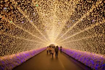 Cánh đồng hoa Nabana no Sato 2025-2026