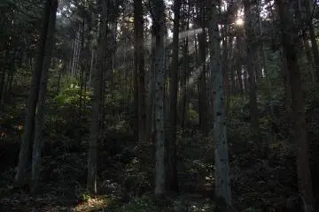 Mount Kannan