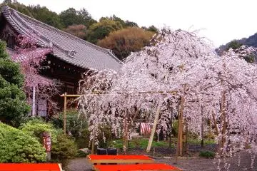Kyoto Bishamon-do Temple