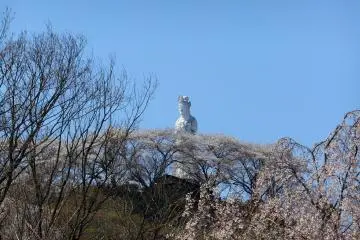 Funaoka Castle Park, Miyagi