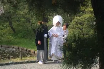 Surprises at Sankeien Garden