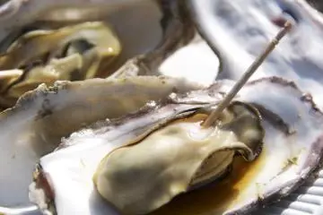 Visiting the Miyajima Oyster Festival