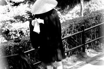 Delights of Kiyomizudera Temple 2