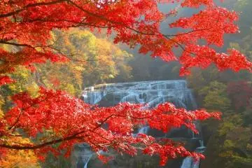 Fukuroda Falls (Photo: <a href="https://en.japantravel.com/profile/elysse-hurtado/379" target="_blank" rel="noreferrer noopener nofollow">Elysse Hurtado</a> / JT)
