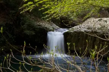 Seven Waterfalls Hidden in Izu
