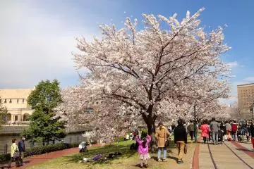 Yokohama Kisha-michi Promenade