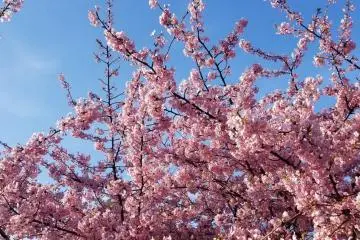 Photo: <a href="https://unsplash.com/photos/1g_hx4a8qps" target="_blank" rel="noreferrer noopener nofollow">Ioan Sameli</a> / Unsplash
