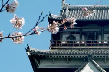 Hanami in Hiroshima City (Photo: <a href="http://www.gethiroshima.com" target="_blank" rel="noreferrer noopener nofollow">GetHiroshima</a>)