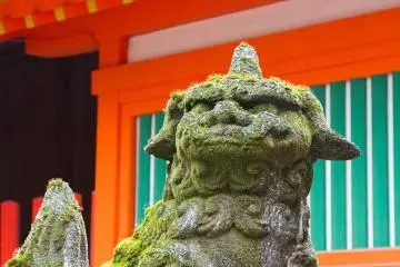 A Day in Hakata, Fukuoka City