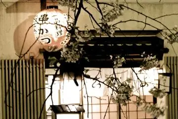 Gion Shirakawa at Night in Spring