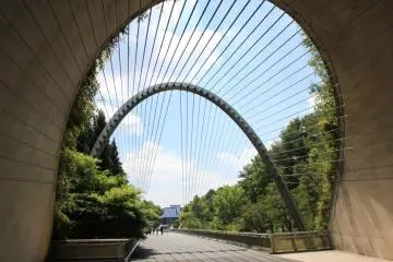 The Must-See Miho Museum
