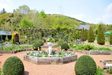 Ibaraki's Flower Hill Hanazono