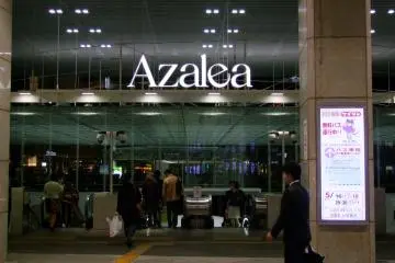 Azalea Shopping Mall - Kawasaki